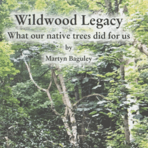 Wildwood Legacy: What our native trees did for us